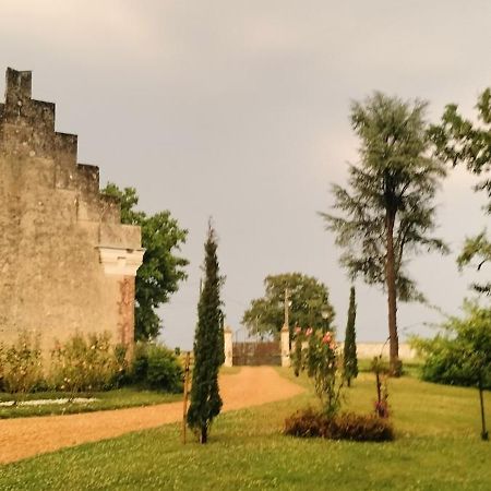 Chateau Le Haut Villaumay Auzouer-en-Touraine Esterno foto
